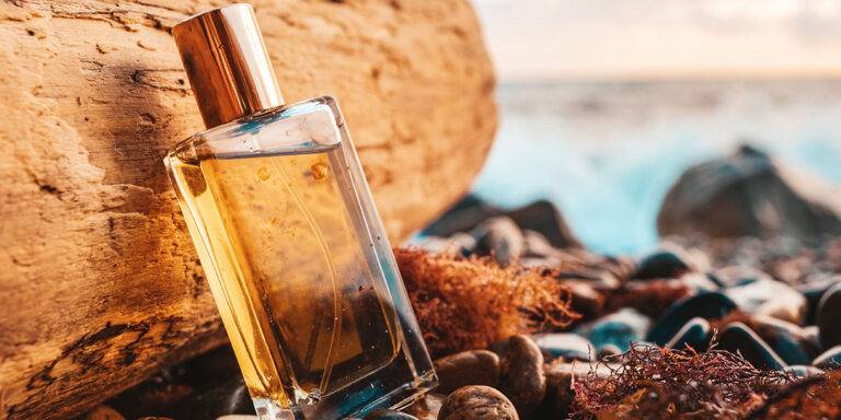 Discover The Best Fragrance In Singapore discover-the-best-fragrance-in-singapore